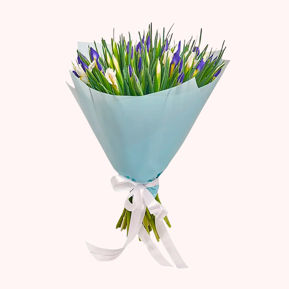 Букет из 51 белого и синего ириса